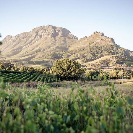 Le Pommier Wine Estate Villa Stellenbosch Exterior photo