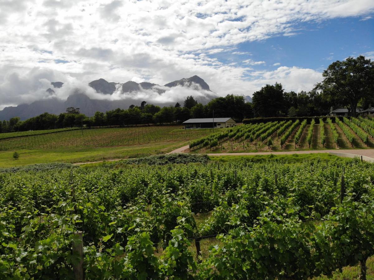 Le Pommier Wine Estate Villa Stellenbosch Exterior photo