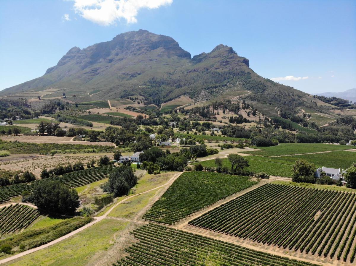 Le Pommier Wine Estate Villa Stellenbosch Exterior photo