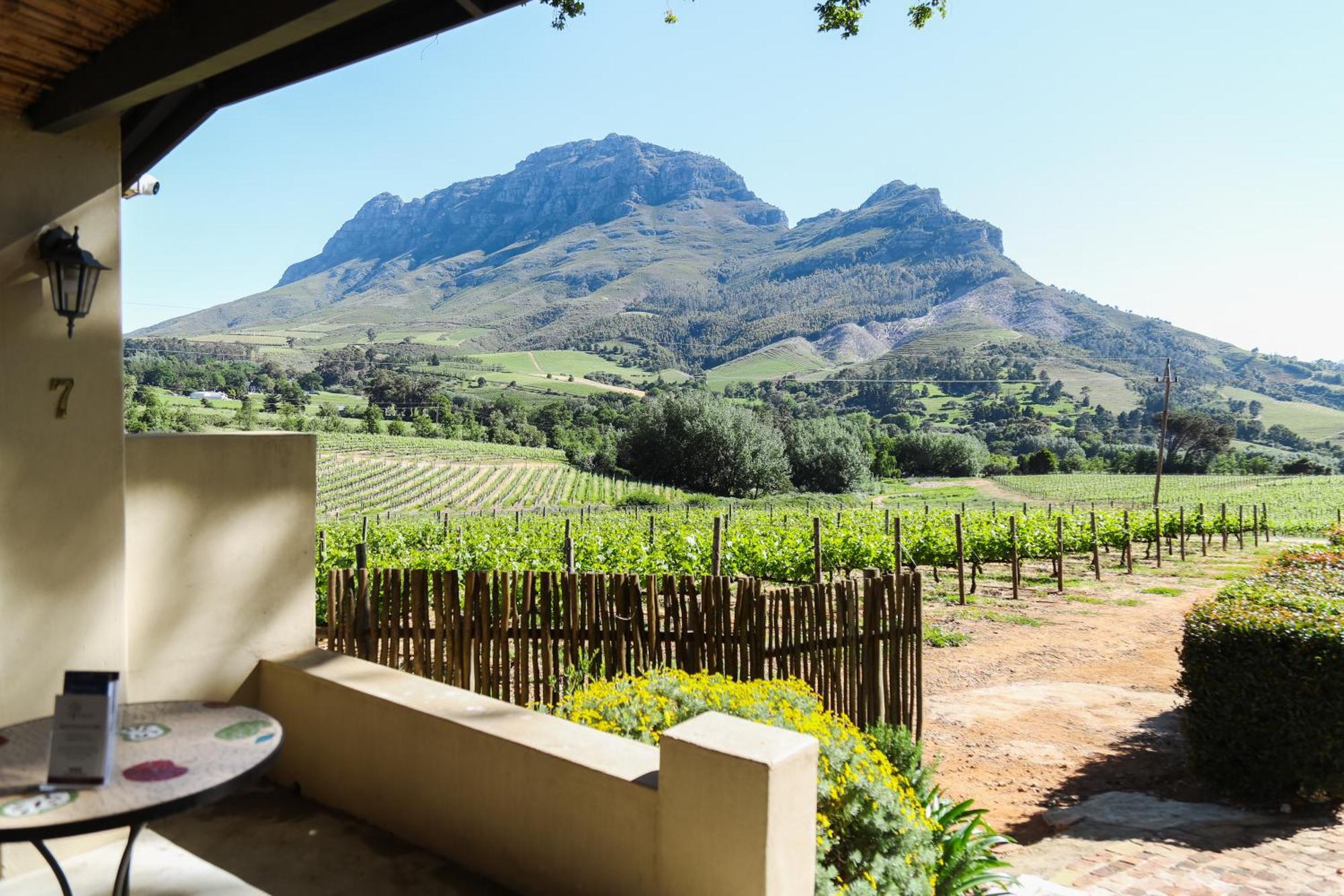 Le Pommier Wine Estate Villa Stellenbosch Exterior photo